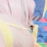 Darkwaifu Trap Nagie